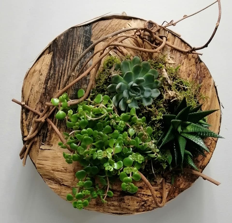 Tableaux végétalisés