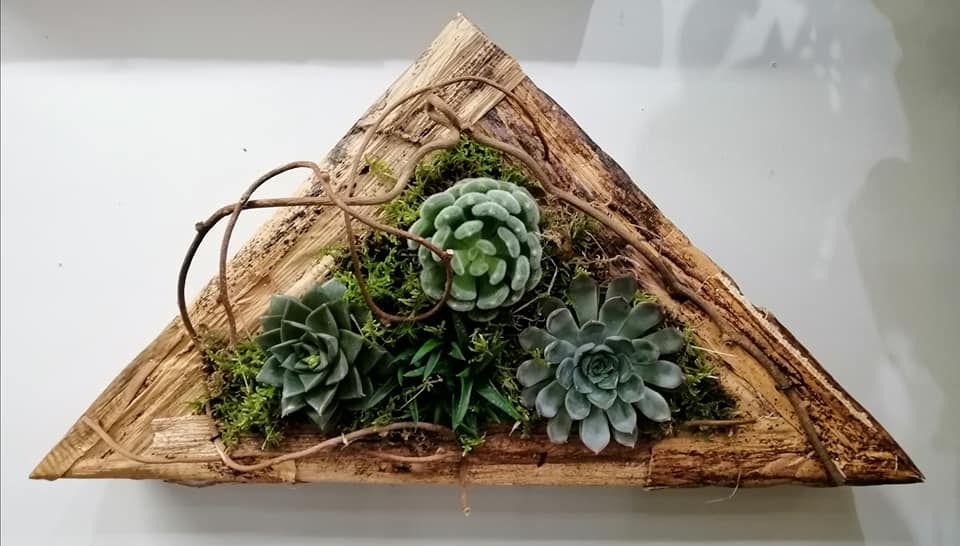 Tableaux végétalisés