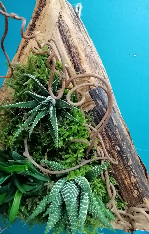 Tableaux végétalisés