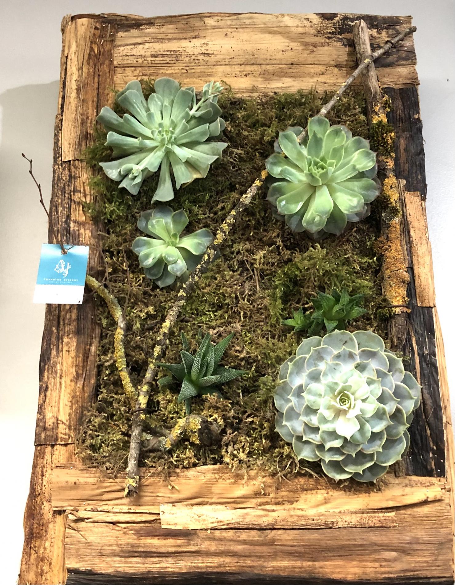 Tableaux végétalisés