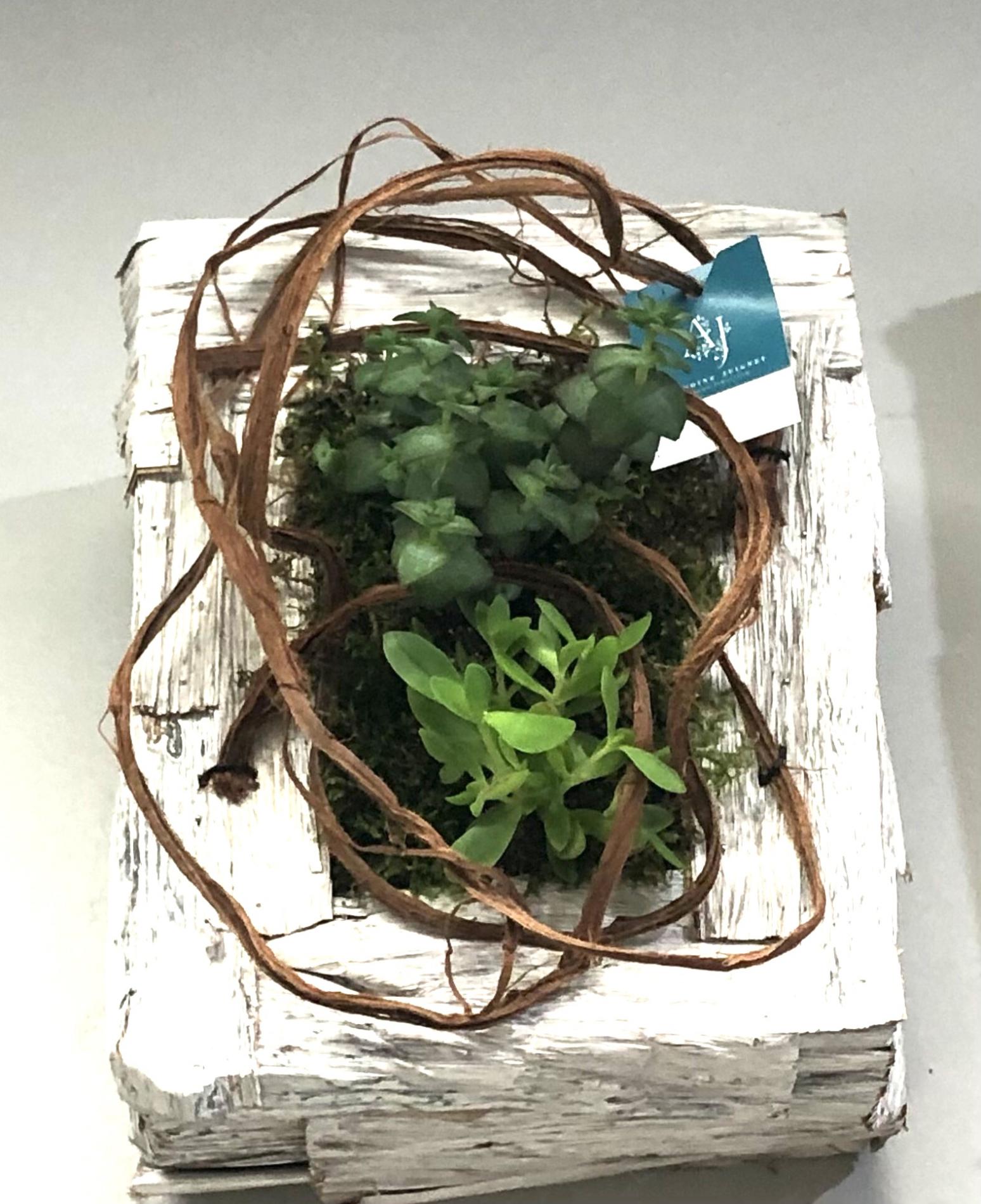 Tableaux végétalisés